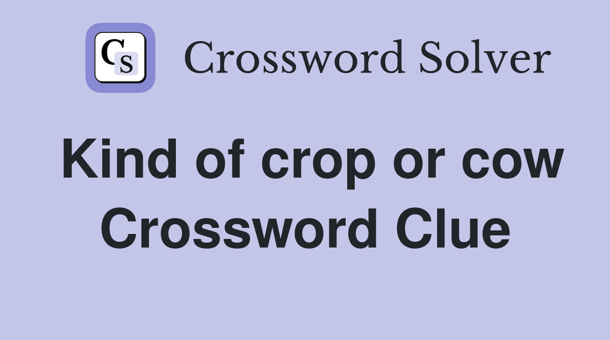 Kind of crop or cow Crossword Clue