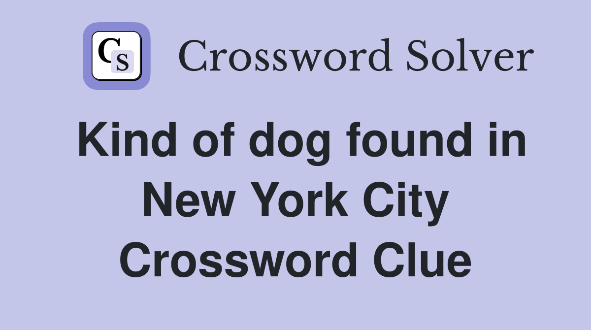 Kind of dog found in New York City Crossword Clue