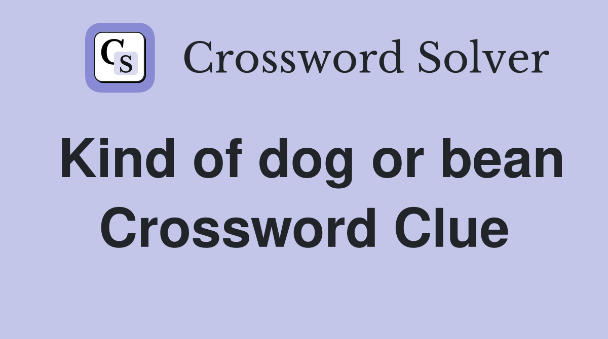 Kind of dog or bean Crossword Clue