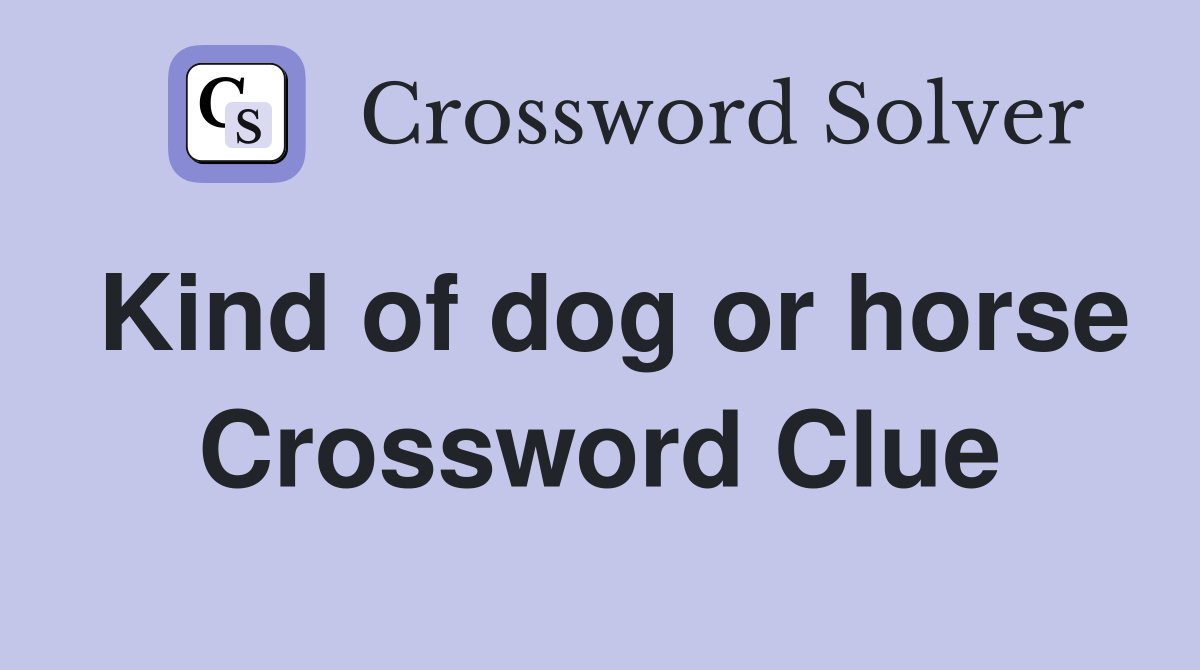 Kind of dog or horse Crossword Clue