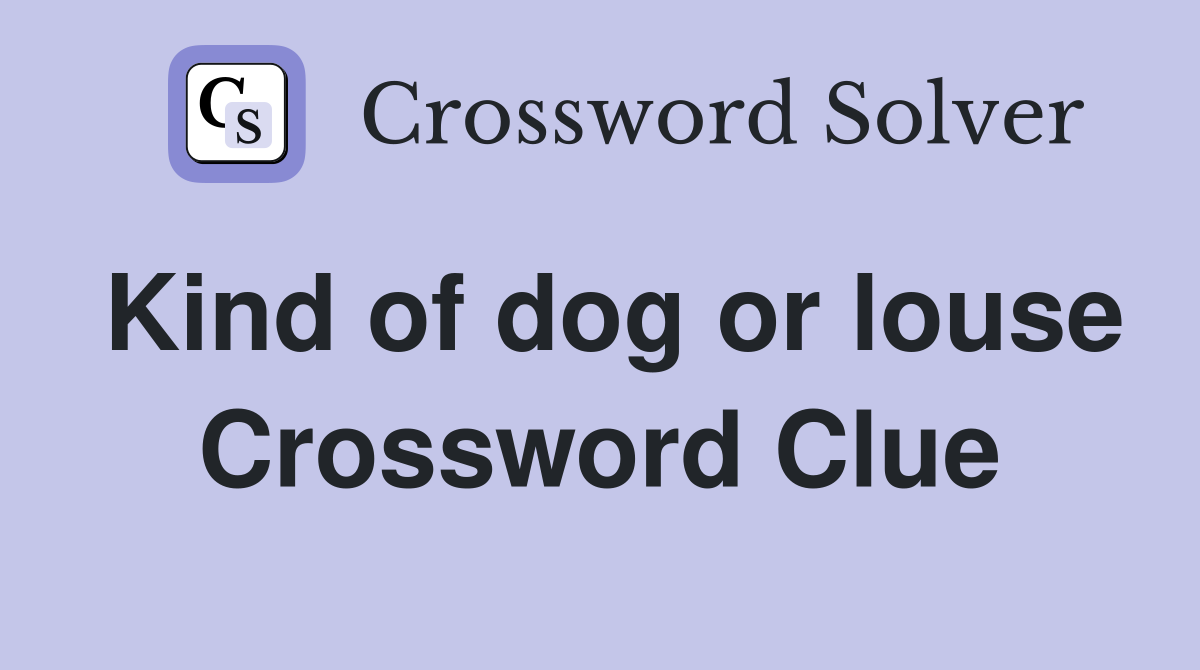 Kind of dog or louse Crossword Clue