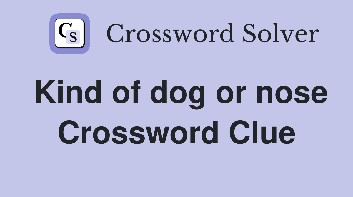 Kind of dog or nose Crossword Clue