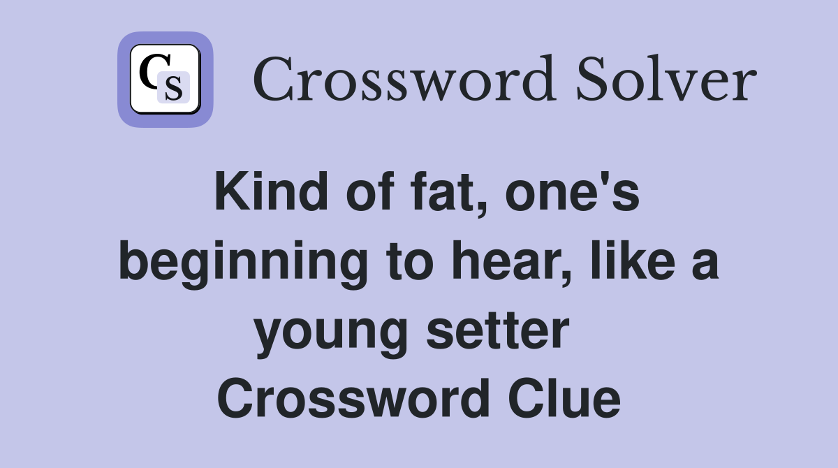 Kind of fat, one's beginning to hear, like a young setter  Crossword Clue