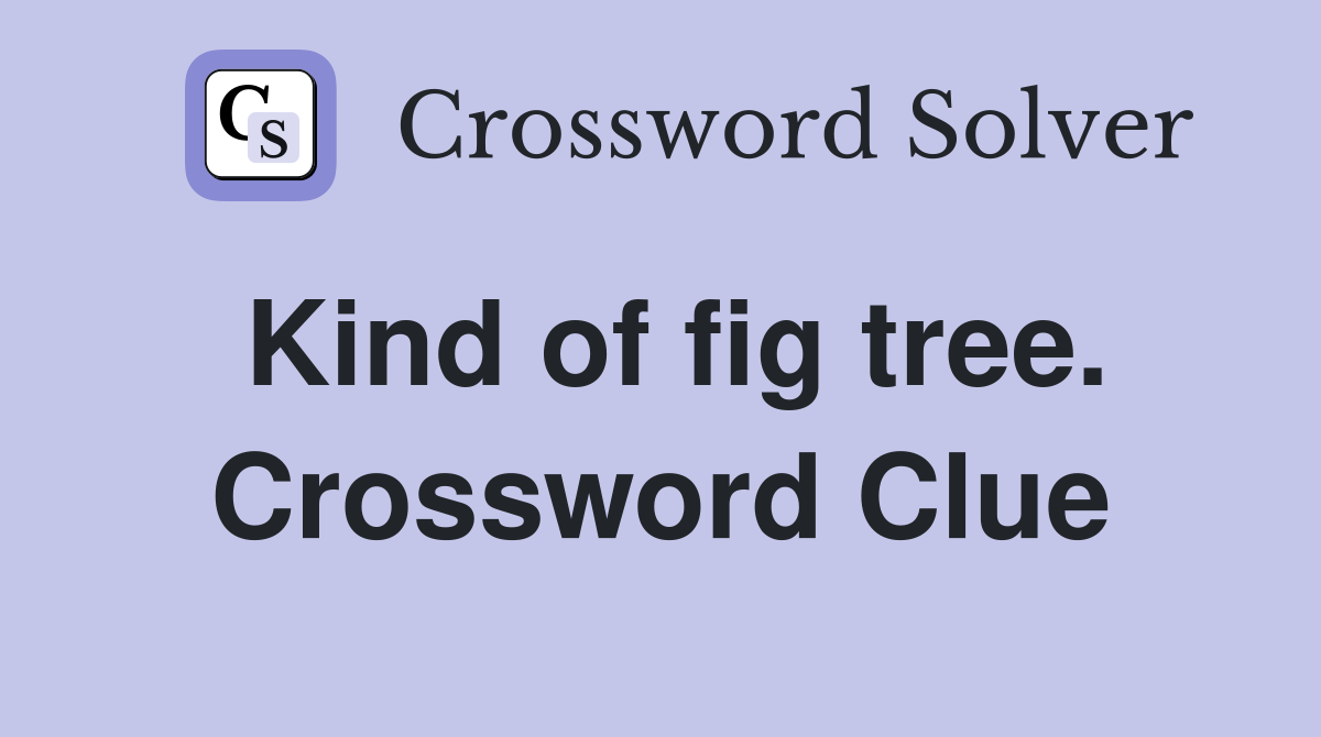 Kind of fig tree. Crossword Clue