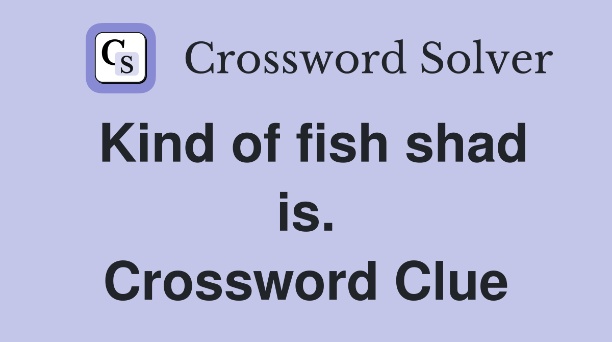 Kind of fish shad is. Crossword Clue