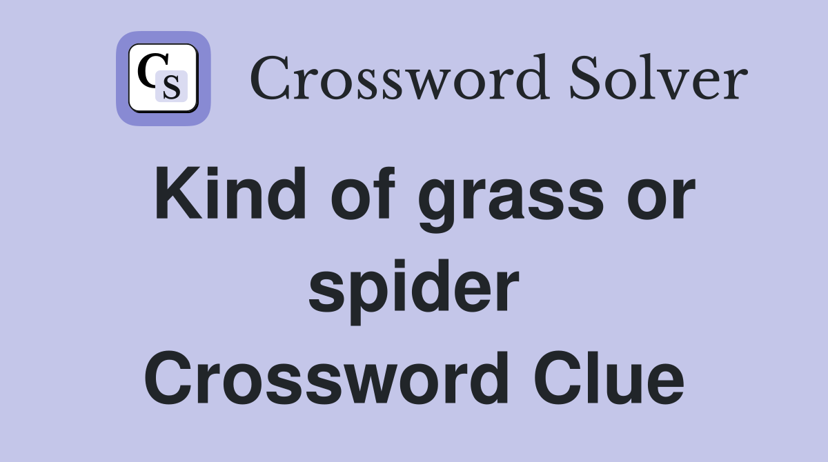 Kind of grass or spider Crossword Clue