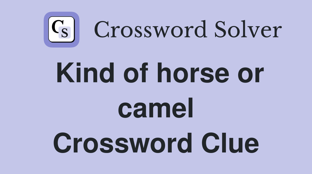 Kind of horse or camel Crossword Clue