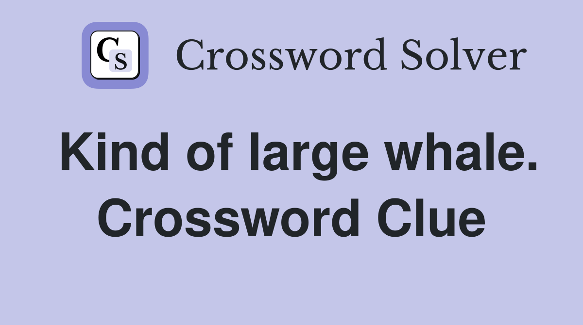 Kind of large whale. Crossword Clue