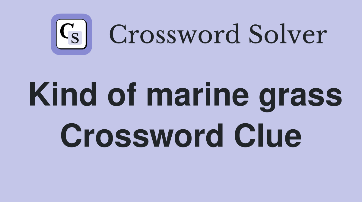 Kind of marine grass Crossword Clue