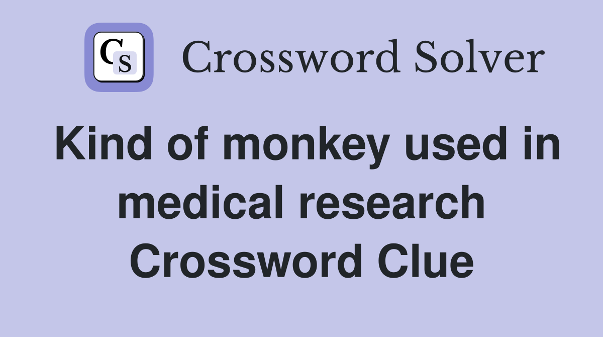 Kind of monkey used in medical research Crossword Clue