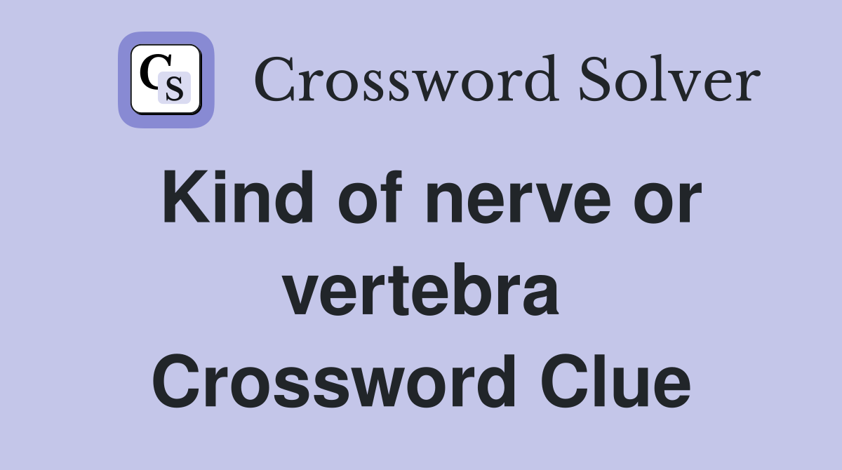Kind of nerve or vertebra Crossword Clue