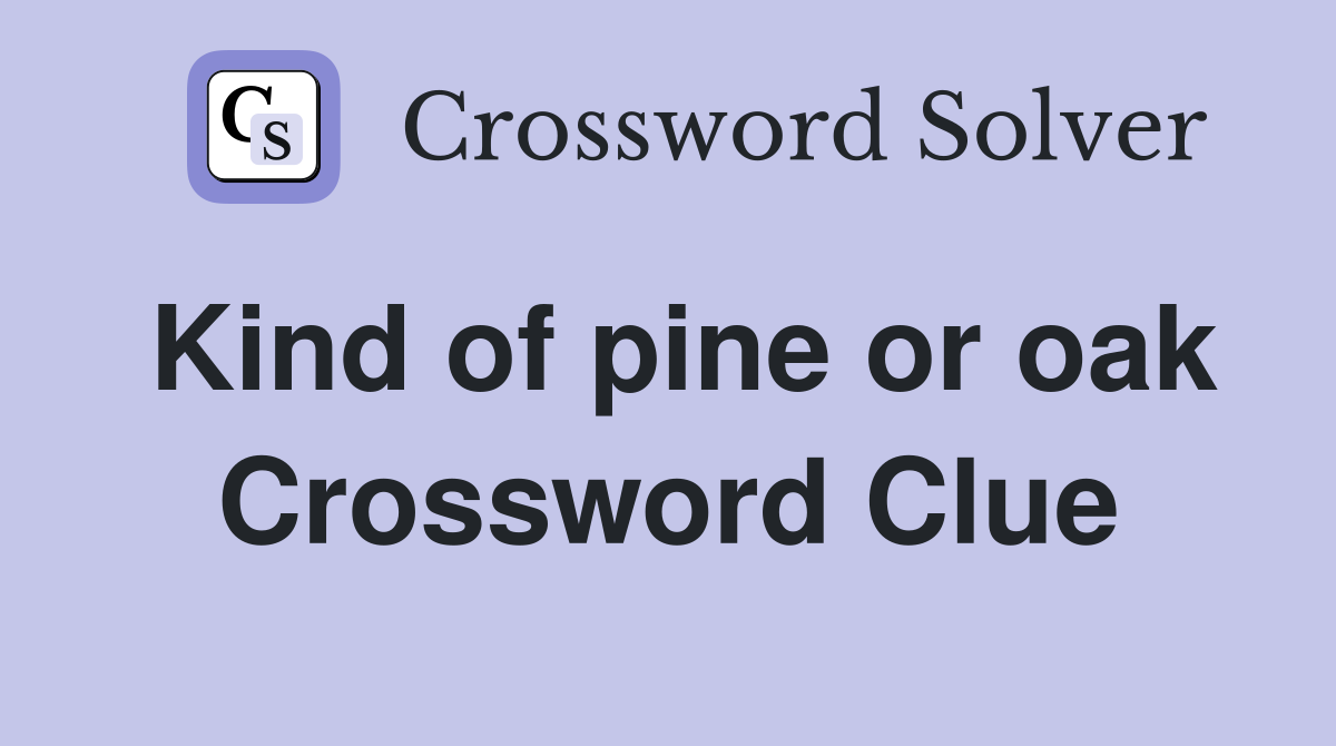 Kind of pine or oak Crossword Clue