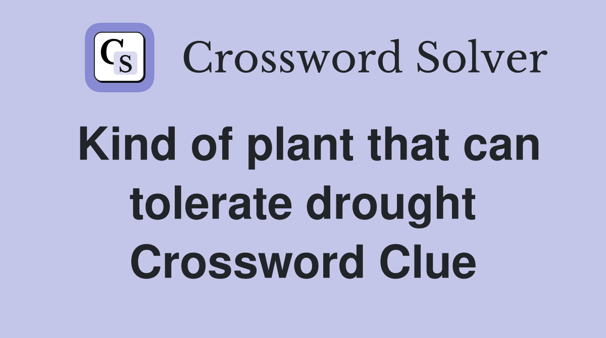 Kind of plant that can tolerate drought Crossword Clue