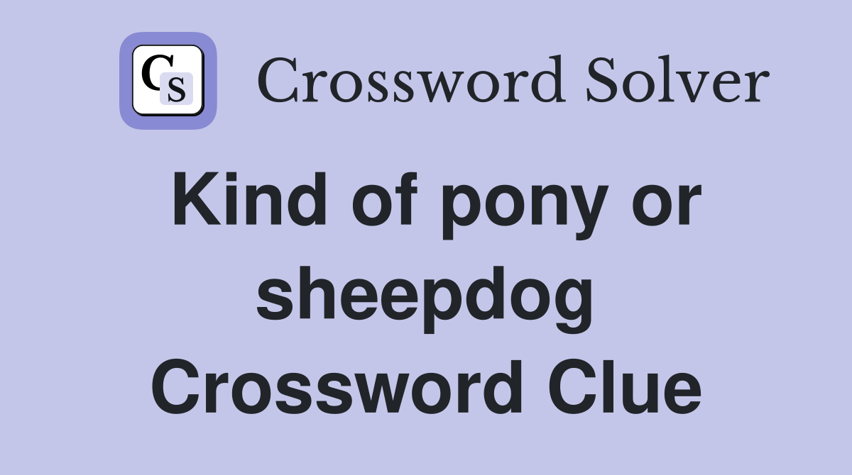 Kind of pony or sheepdog Crossword Clue