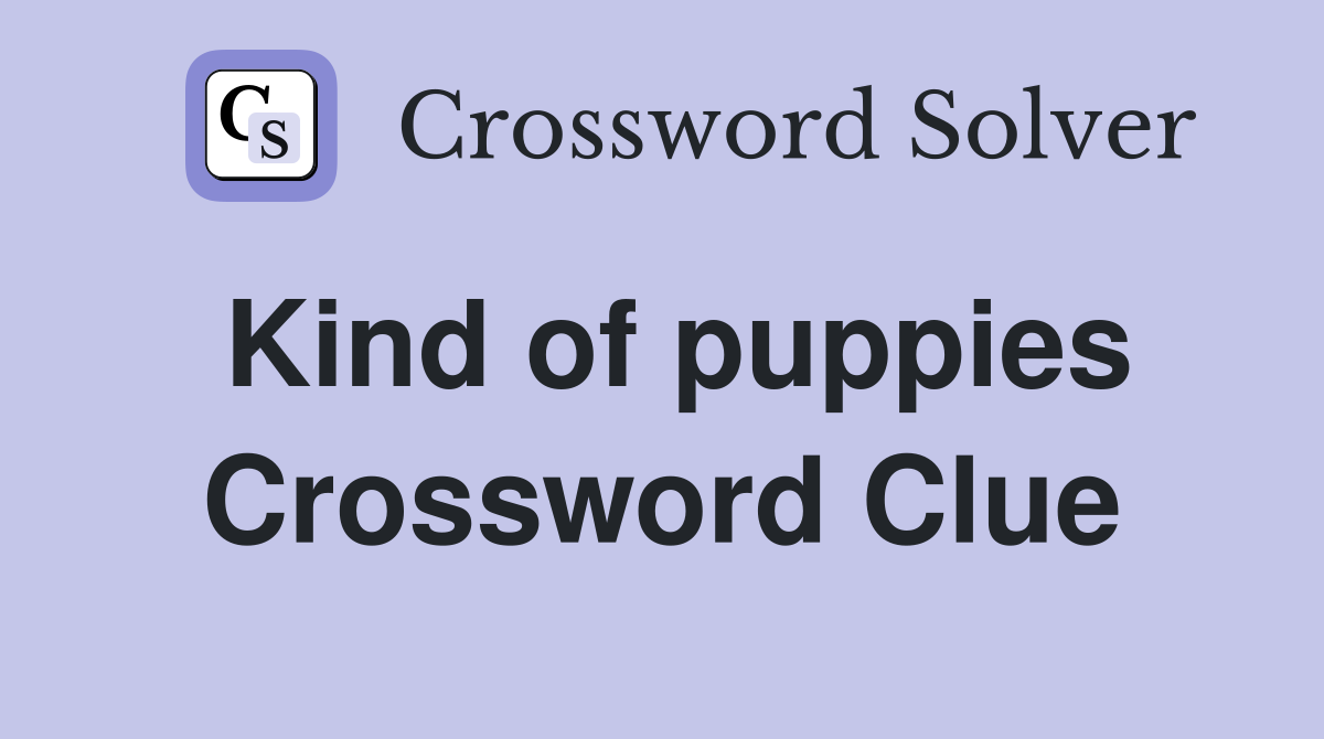 Kind of puppies Crossword Clue