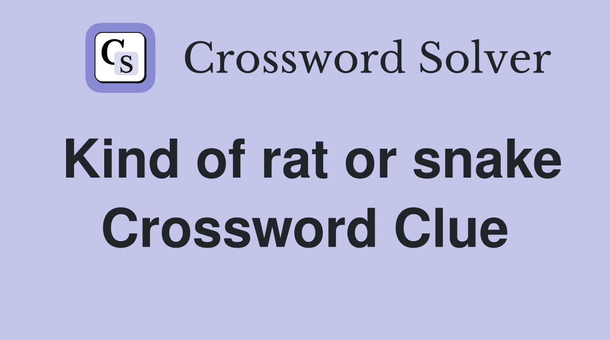 Kind of rat or snake Crossword Clue