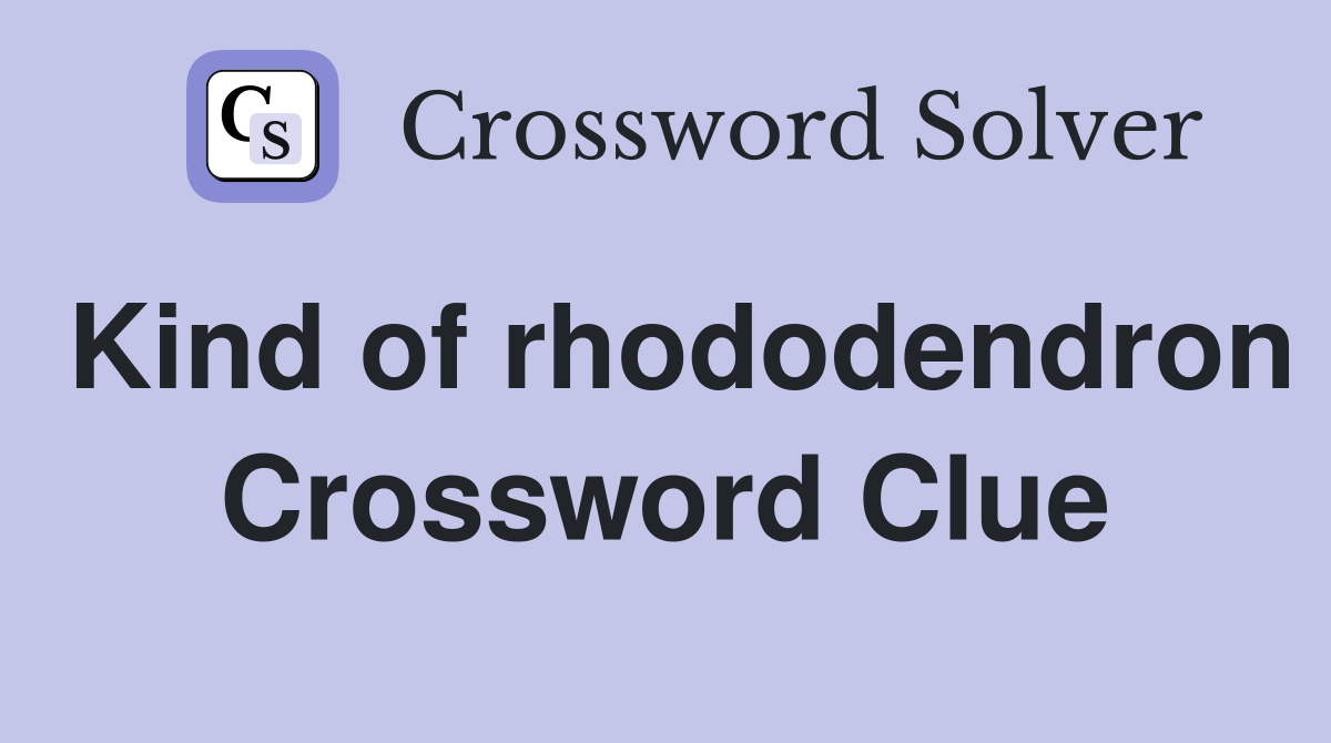 Kind of rhododendron Crossword Clue