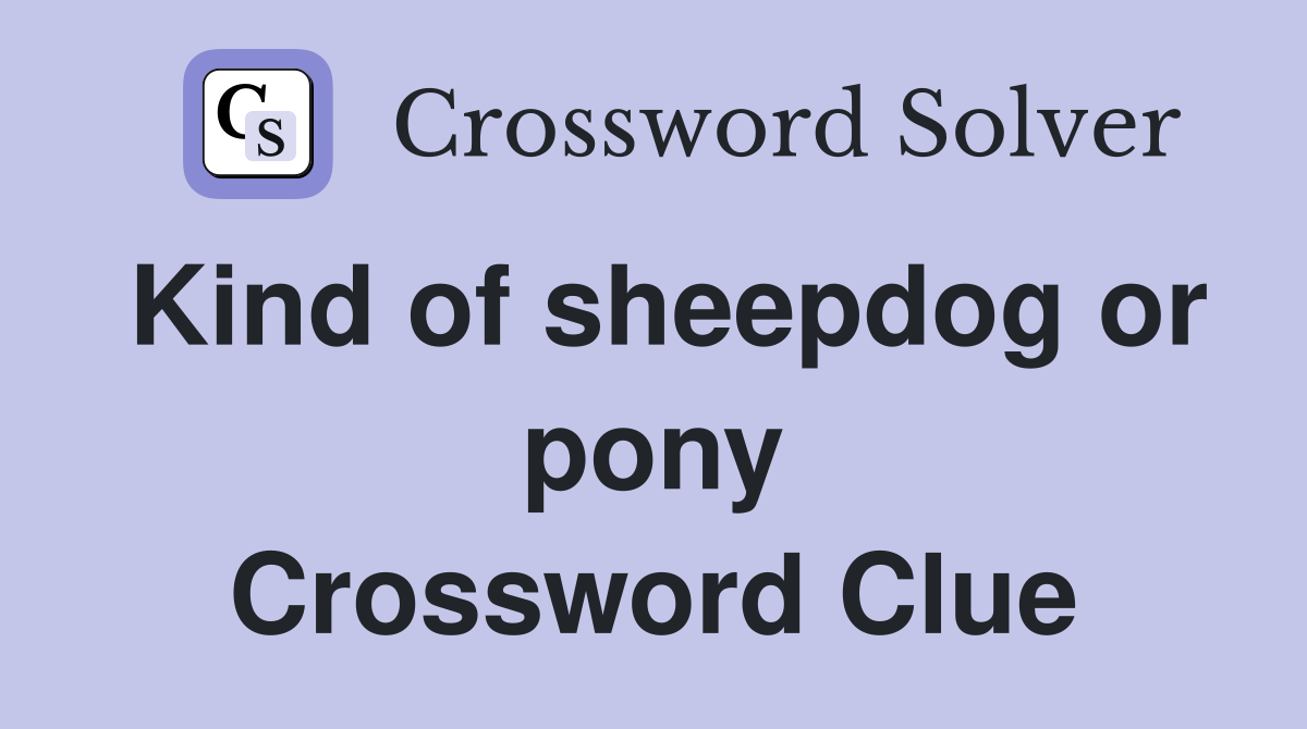 Kind of sheepdog or pony Crossword Clue