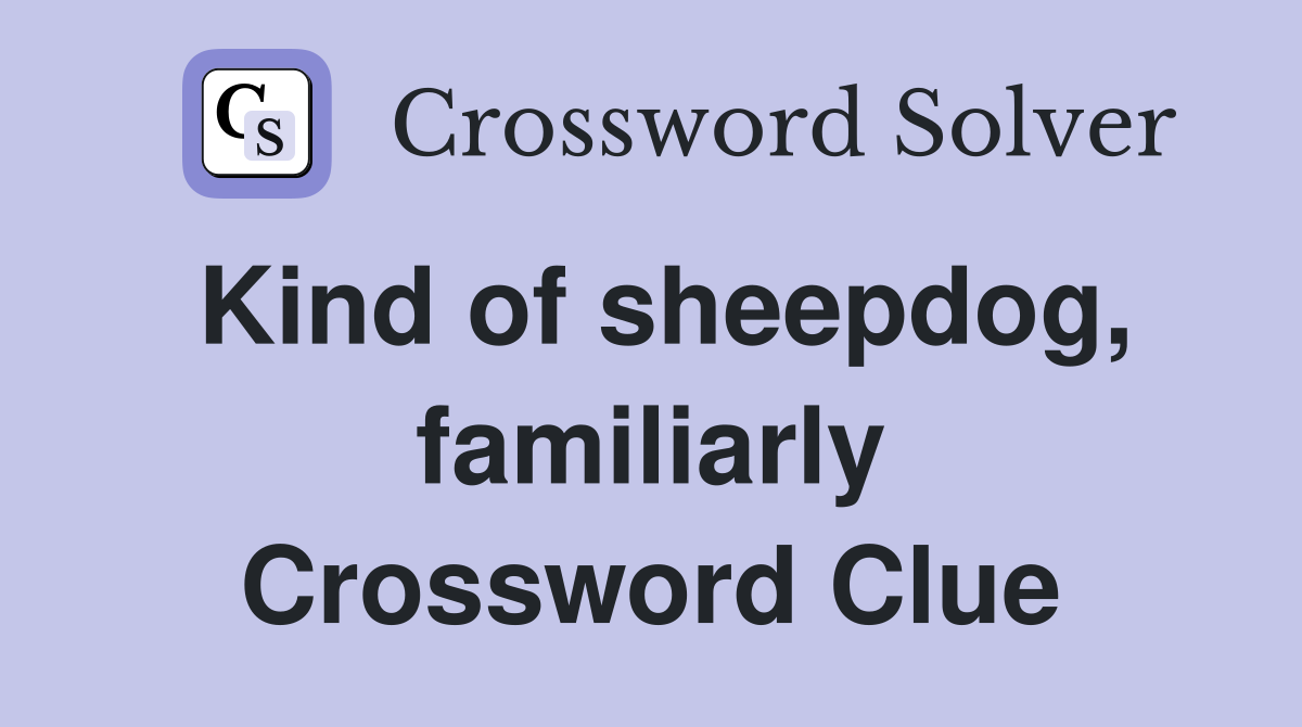 Kind of sheepdog, familiarly Crossword Clue