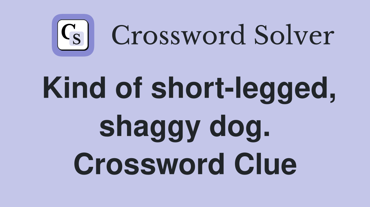 Kind of short-legged, shaggy dog. Crossword Clue