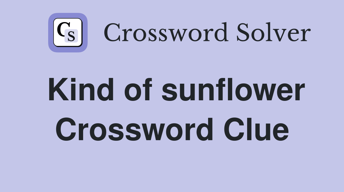 Kind of sunflower Crossword Clue