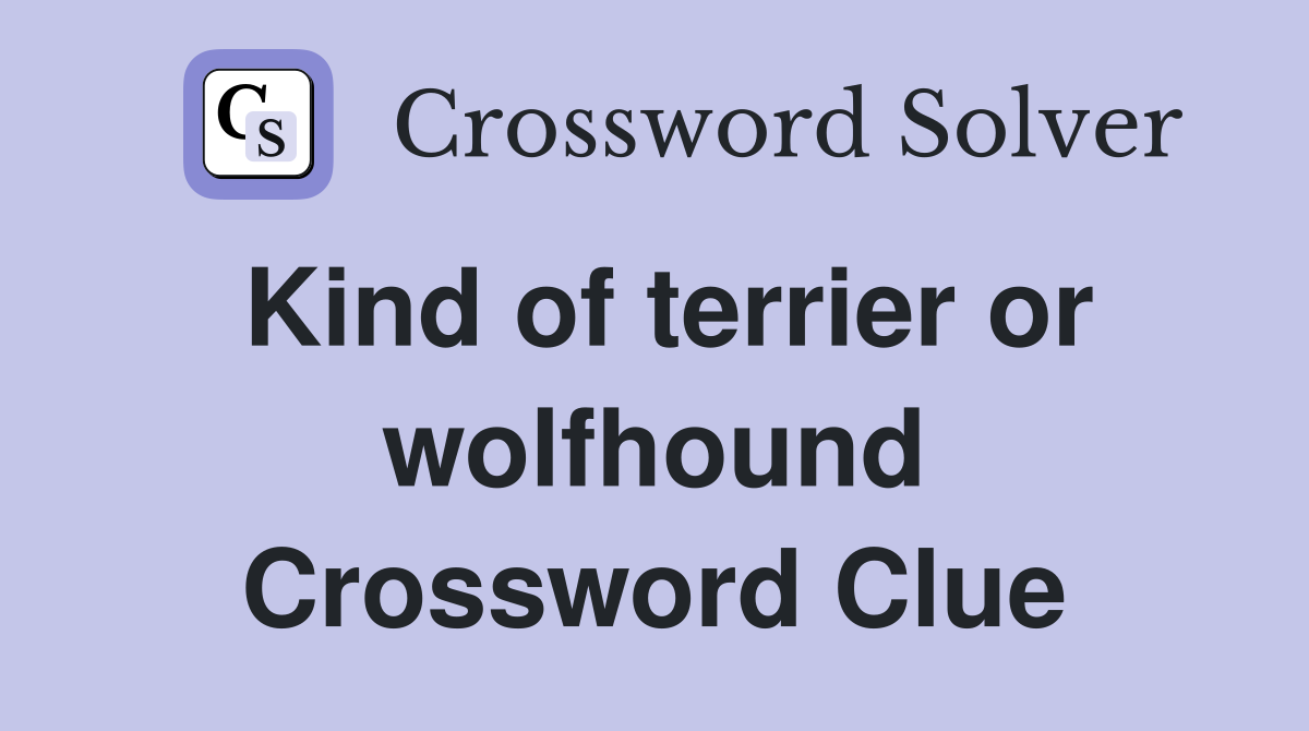 Kind of terrier or wolfhound Crossword Clue