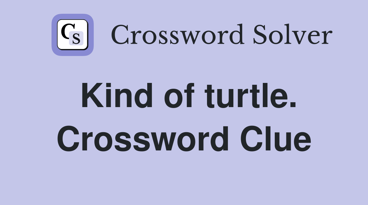 Kind of turtle. Crossword Clue