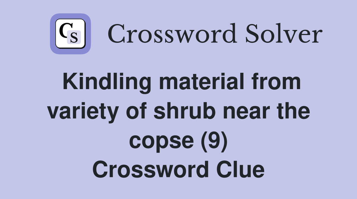 Kindling material from variety of shrub near the copse (9) Crossword Clue