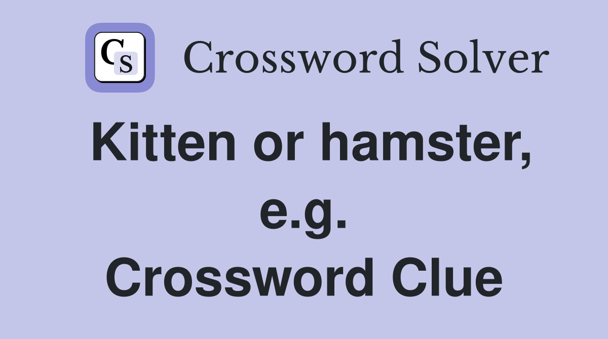 Kitten or hamster, e.g. Crossword Clue