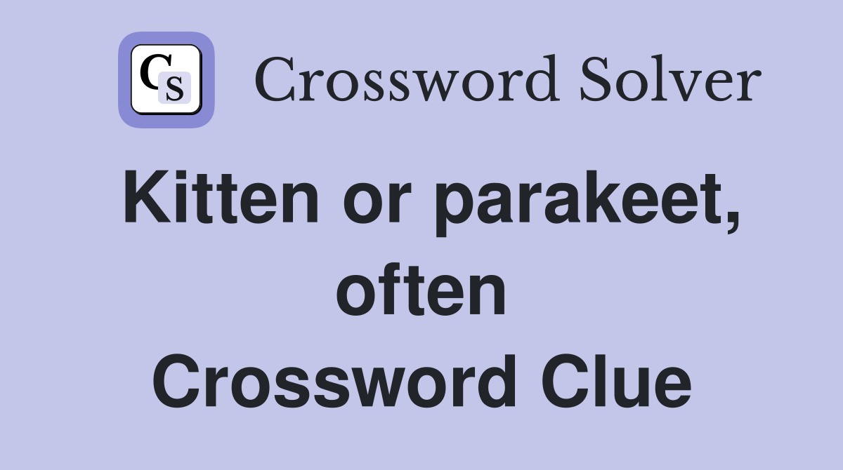 Kitten or parakeet, often Crossword Clue