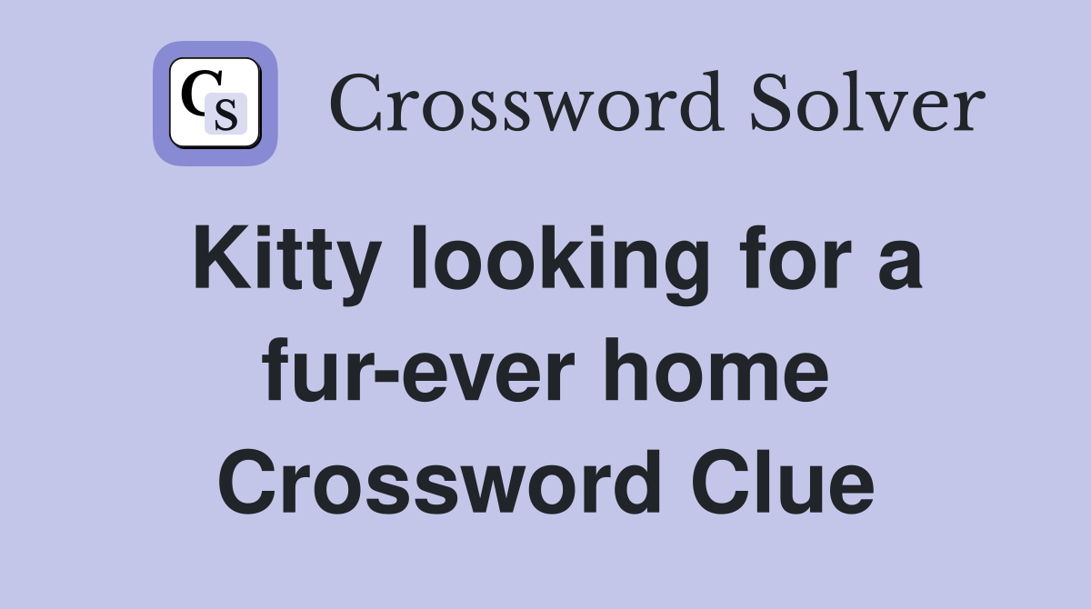 Kitty looking for a fur-ever home Crossword Clue