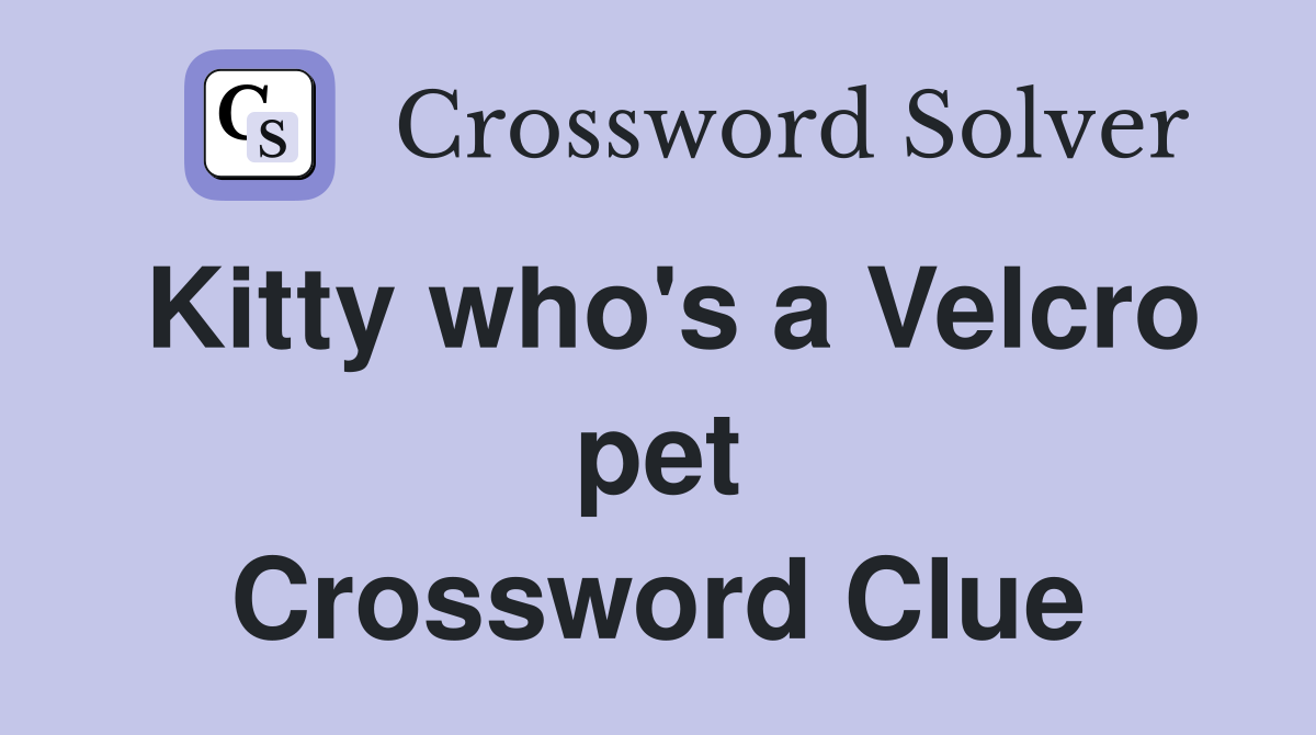 Kitty who's a Velcro pet Crossword Clue