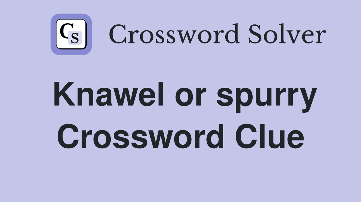 Knawel or spurry Crossword Clue