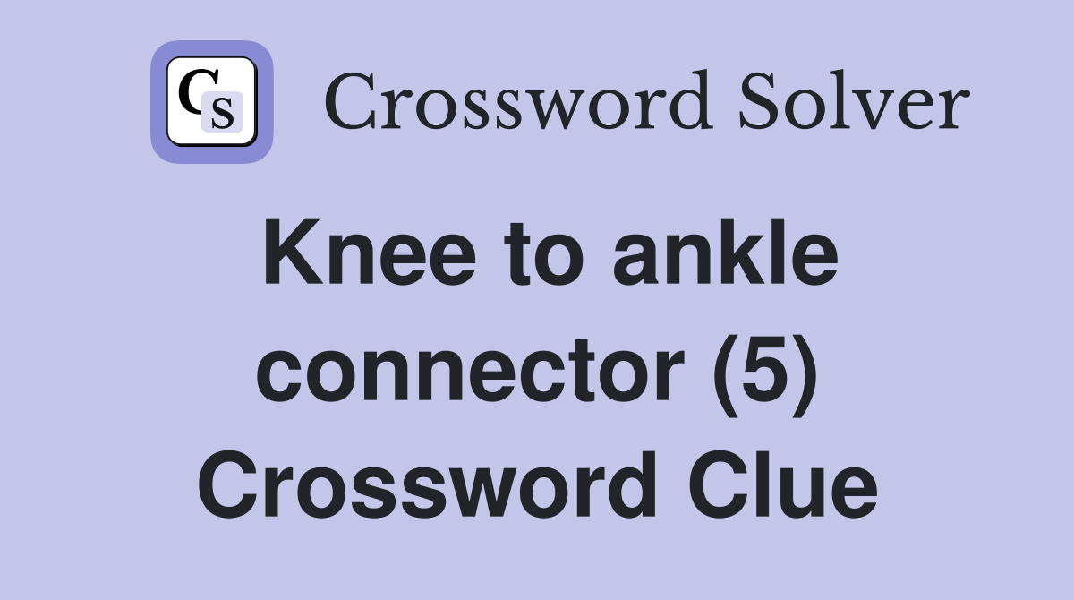 Knee to ankle connector (5) Crossword Clue