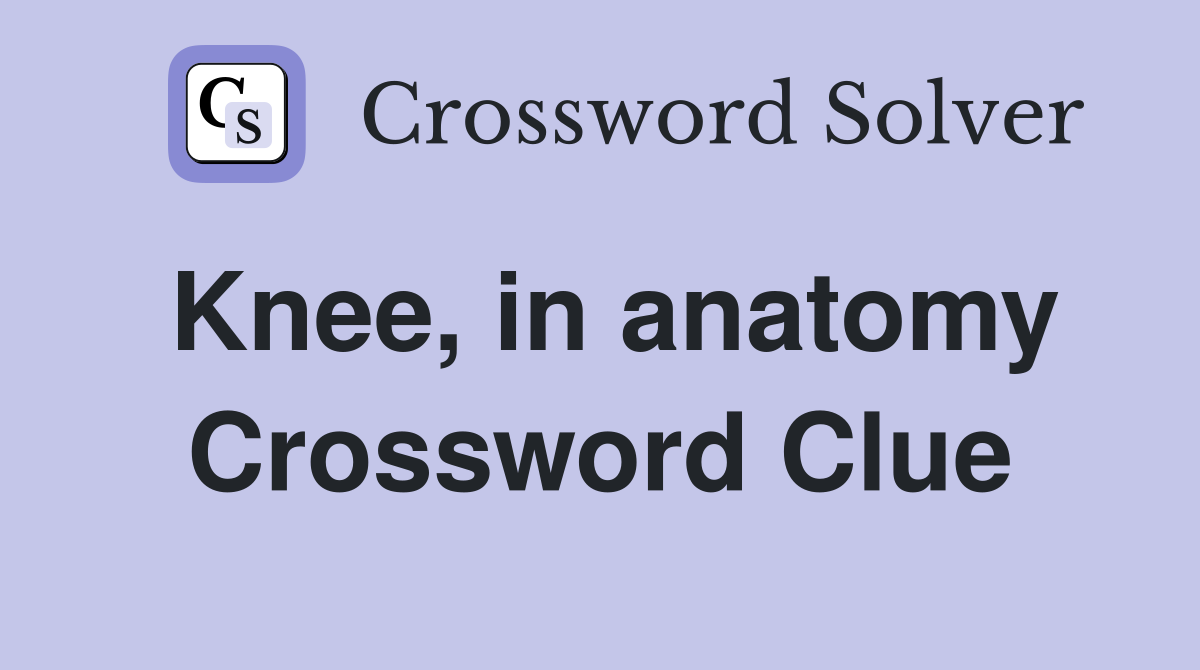 Knee, in anatomy Crossword Clue