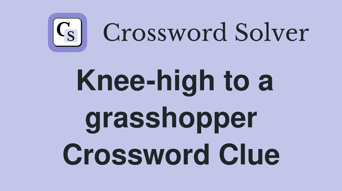 Knee-high to a grasshopper Crossword Clue