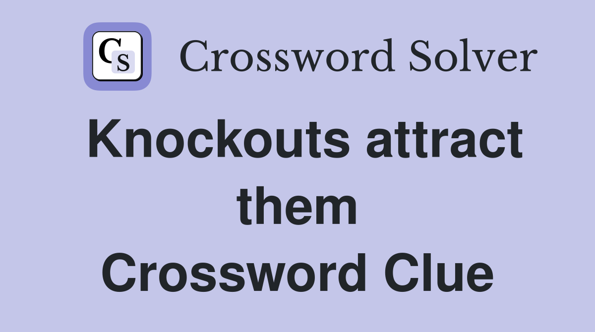 Knockouts attract them Crossword Clue