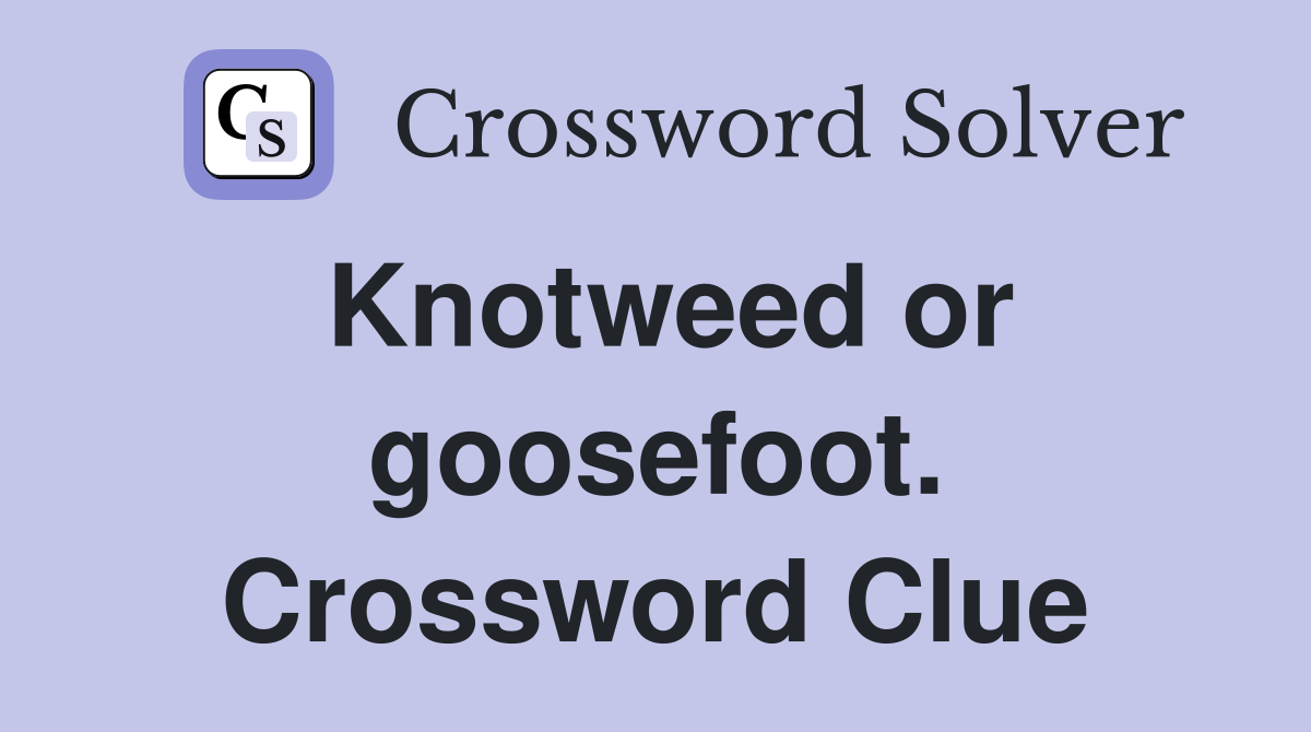 Knotweed or goosefoot. Crossword Clue
