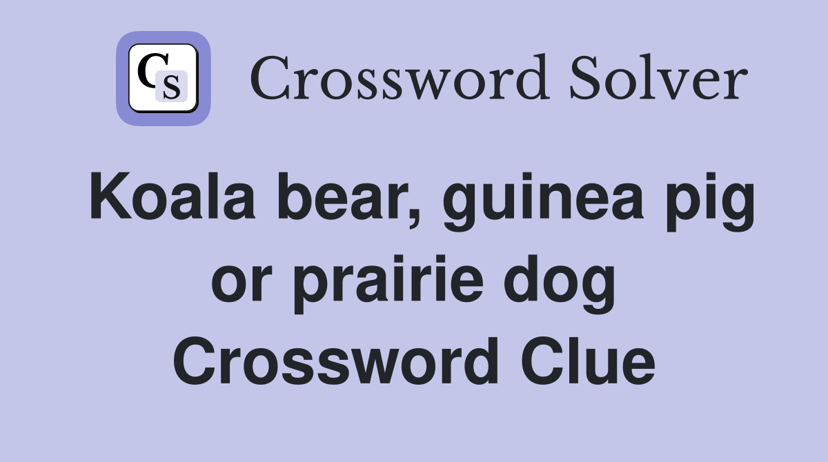 Koala bear, guinea pig or prairie dog Crossword Clue