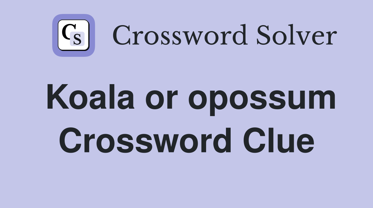 Koala or opossum Crossword Clue