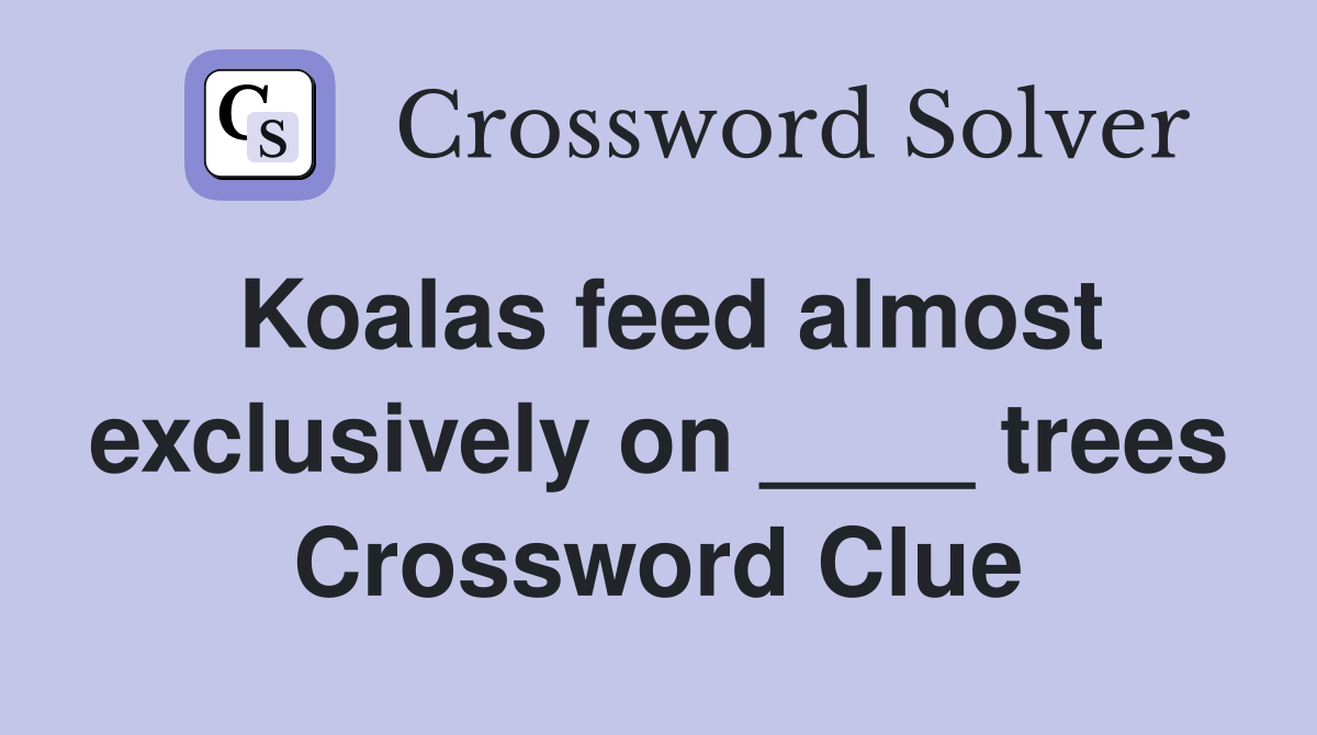 Koalas feed almost exclusively on ____ trees Crossword Clue