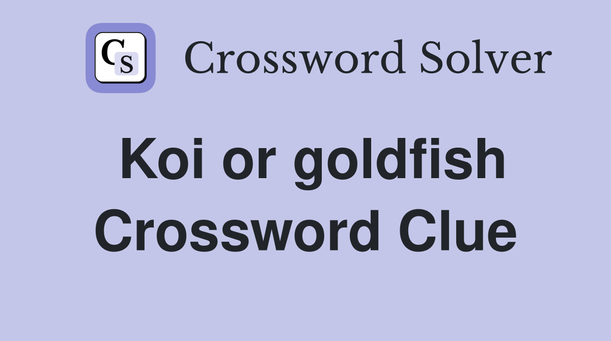Koi or goldfish Crossword Clue