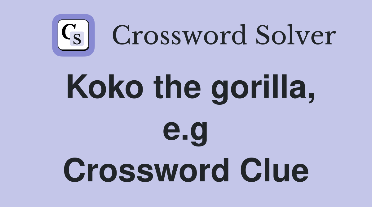 Koko the gorilla, e.g Crossword Clue