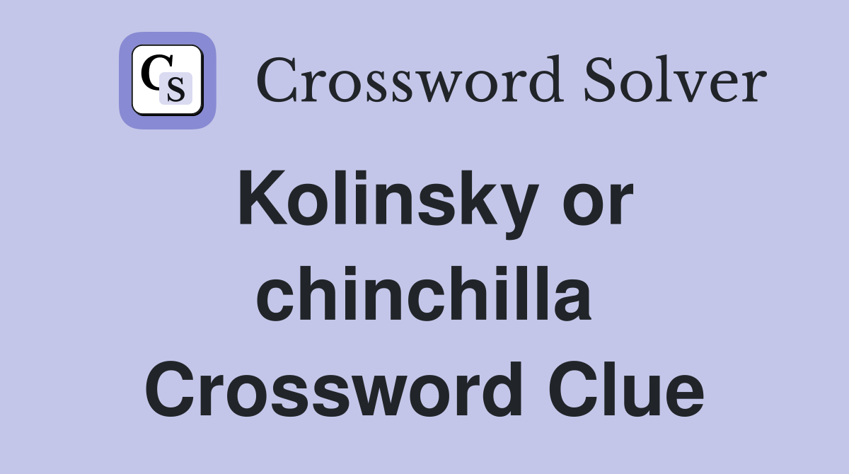 Kolinsky or chinchilla Crossword Clue