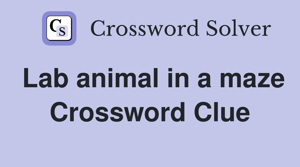 Lab animal in a maze Crossword Clue