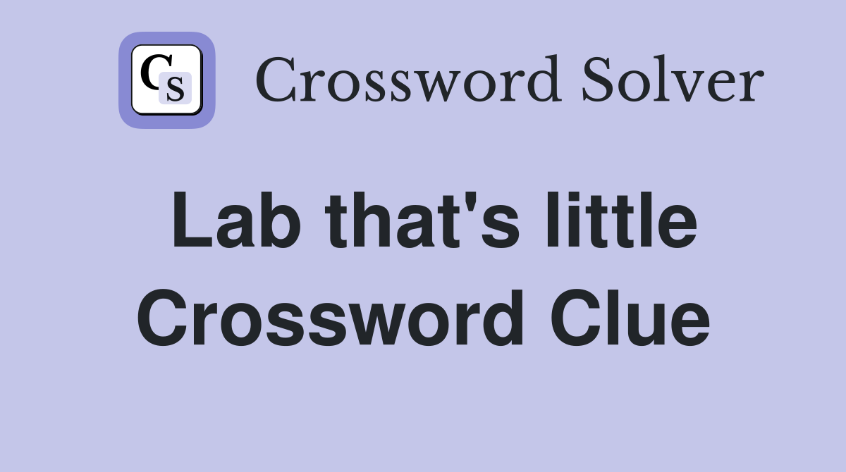 Lab that's little Crossword Clue