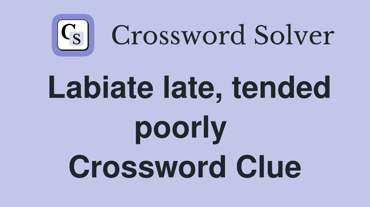 Labiate late, tended poorly  Crossword Clue