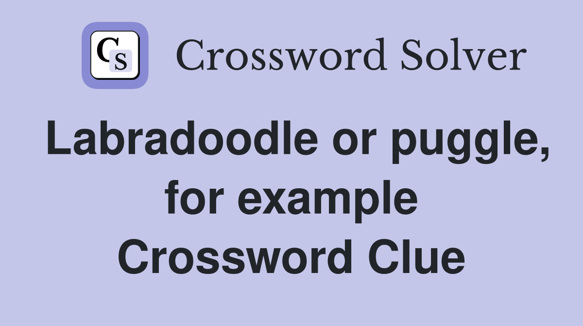 Labradoodle or puggle, for example Crossword Clue