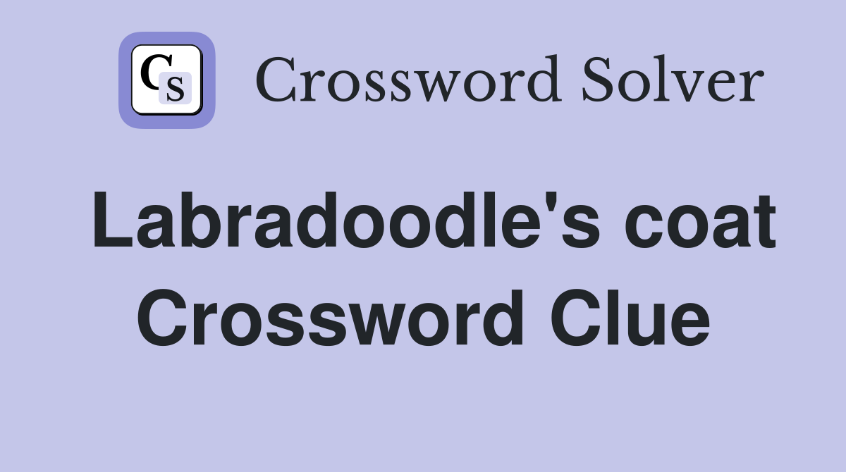 Labradoodle's coat Crossword Clue