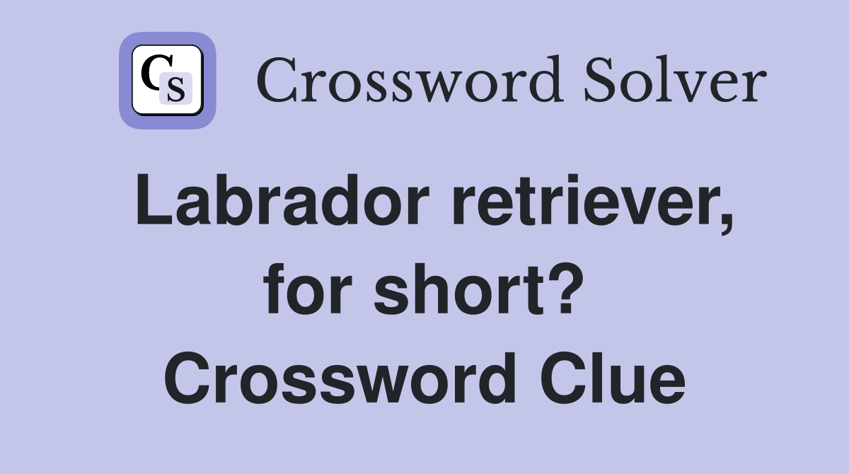 Labrador retriever, for short? Crossword Clue